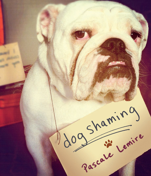 libro gratis Dog Shaming