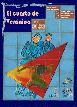 descargar libro El Cuarto De Veronica