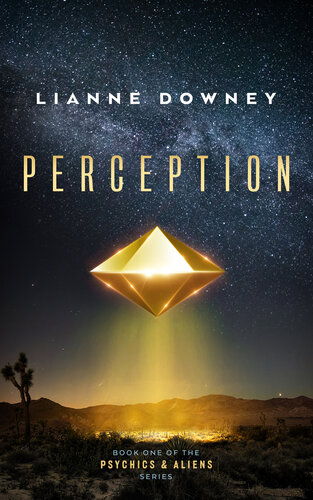 descargar libro Perception