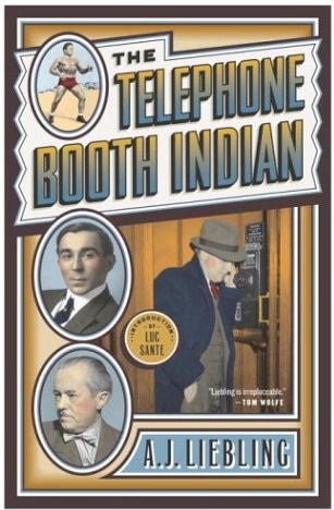 descargar libro The Telephone Booth Indian