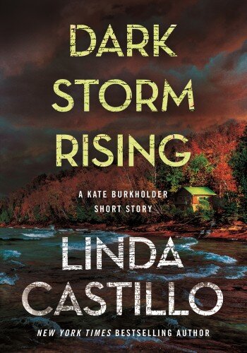 libro gratis Dark Storm Rising