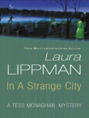 descargar libro In a Strange City