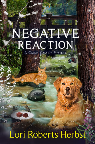 descargar libro Negative Reaction: A Rock Creek Village Cozy Mystery (Callie Cassidy Mysteries Book 5)