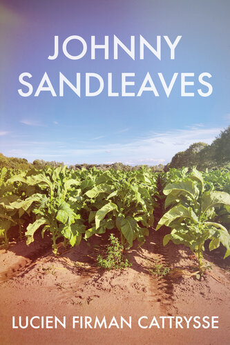 descargar libro Johnny Sandleaves