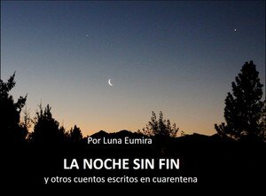 descargar libro La noche sin fin: Y otros cuentos escritos en cuarentena