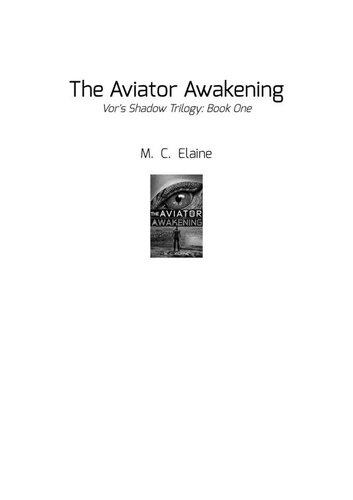 descargar libro The Aviator Awakening