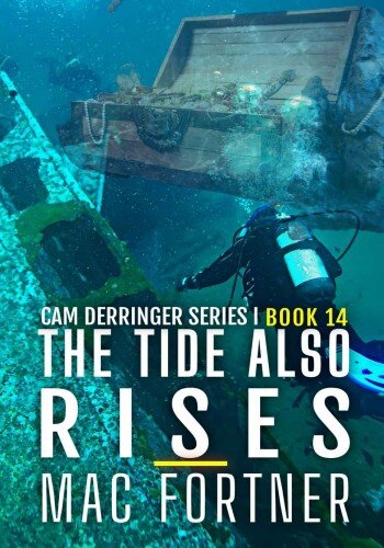 descargar libro The Tide Also Rises