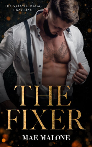 descargar libro The Fixer