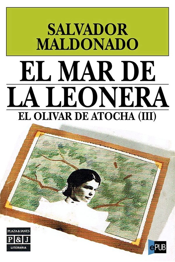 descargar libro El mar de la leonera