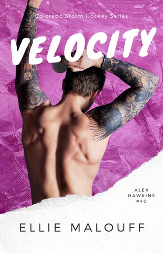 descargar libro Velocity