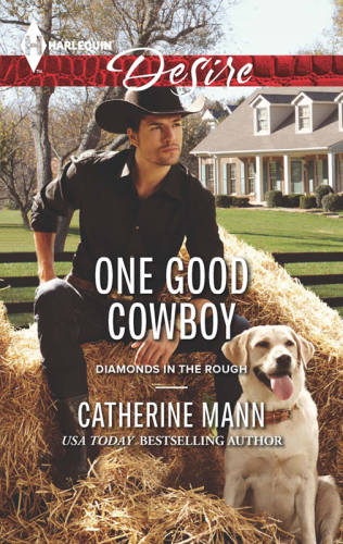 descargar libro One Good Cowboy