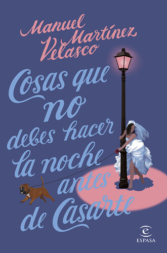 descargar libro Cosas que no debes hacer la noche antes de casarte