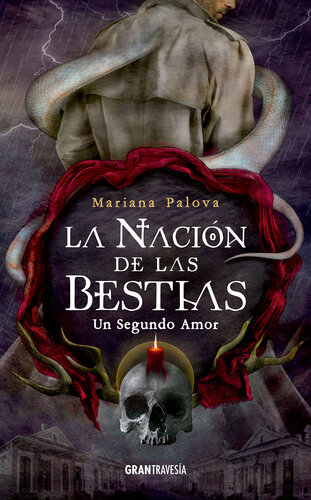 descargar libro Un Segundo Amor