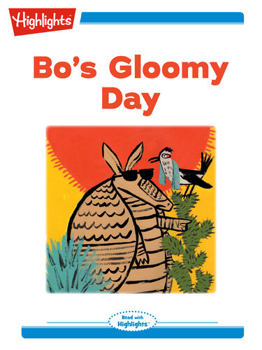 descargar libro Bo's Gloomy Day