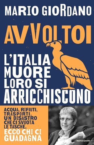 descargar libro Avvoltoi. L'Italia muore loro si arricchiscono. Acqua, rifiuti, trasporti. Un disastro che ci svuota le tasche. Ecco chi ci guadagna