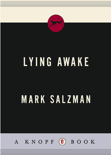 descargar libro Lying Awake