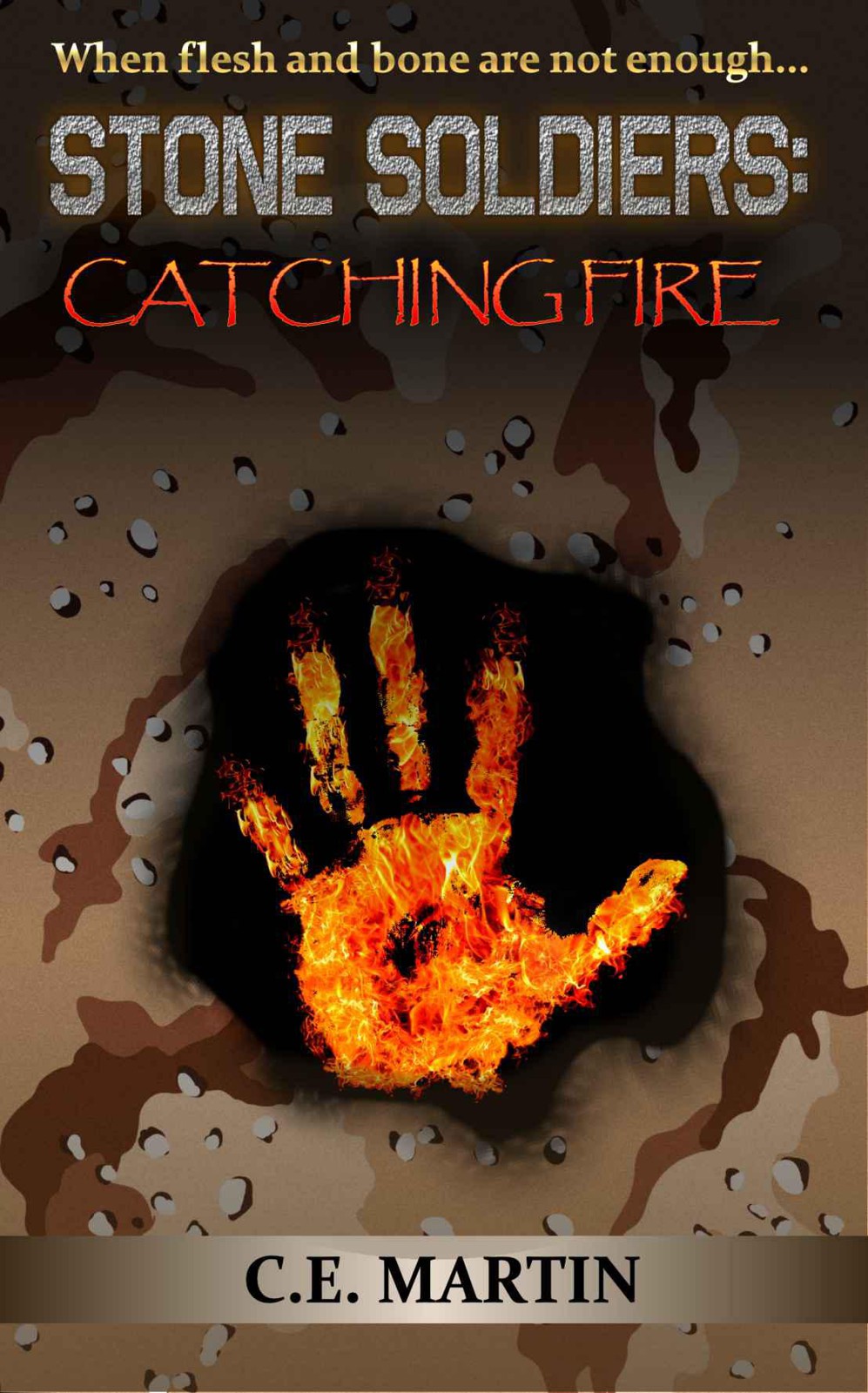 descargar libro Catching Fire