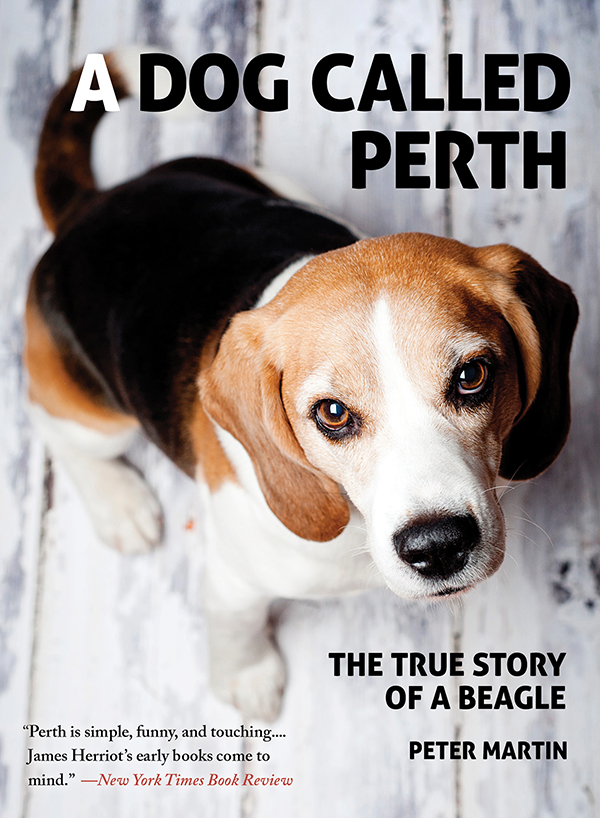 libro gratis A Dog Called Perth: The True Story of a Beagle