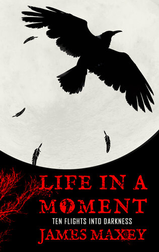 libro gratis Life in a Moment: Ten Flights into Darkness