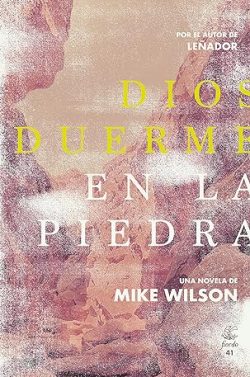 descargar libro Dios duerme en la piedra