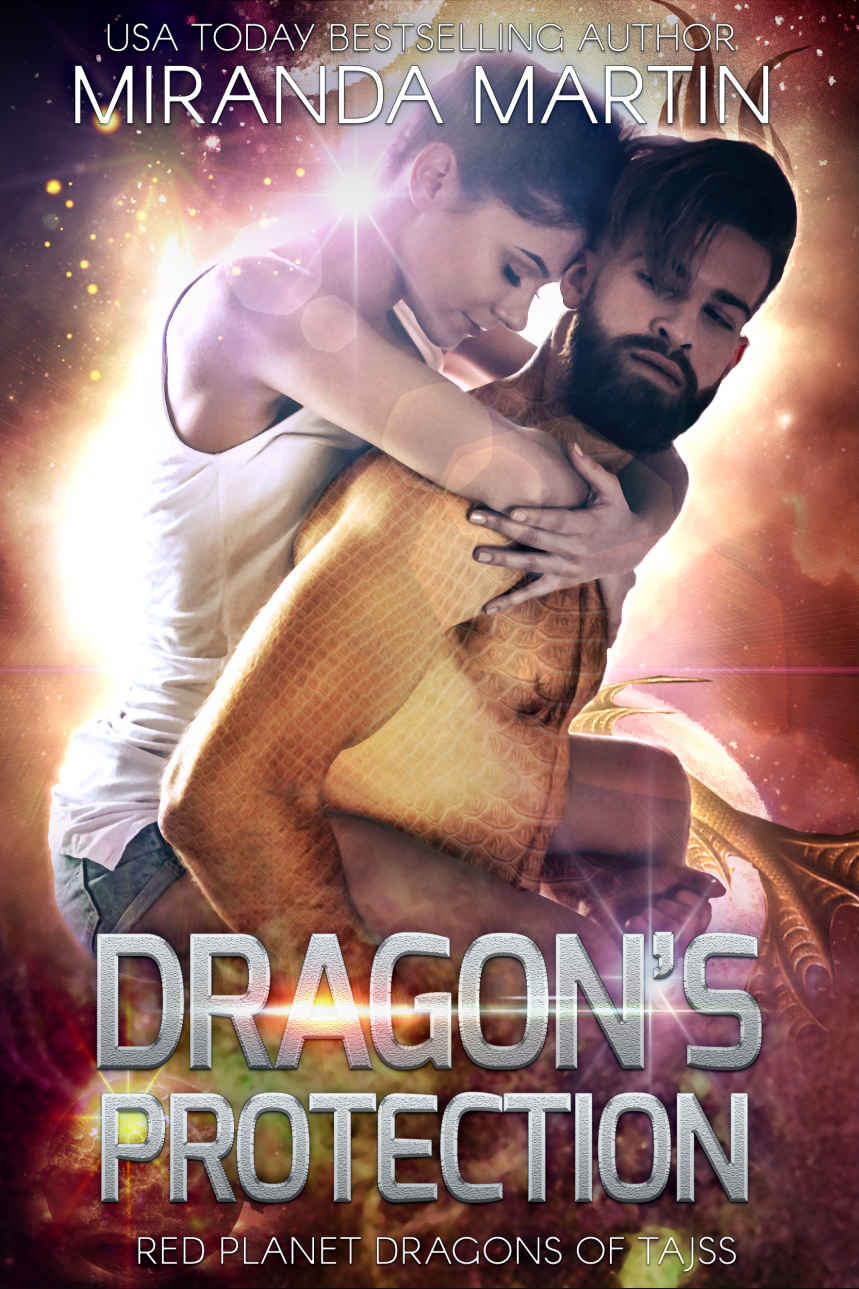 descargar libro Dragons Protection