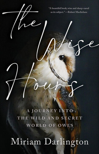 descargar libro The Wise Hours