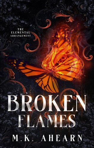 descargar libro Broken Flames