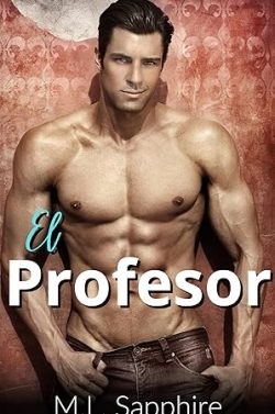 descargar libro El profesor