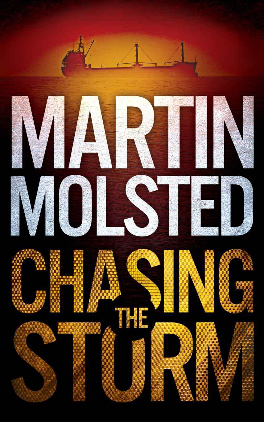 libro gratis Chasing the Storm