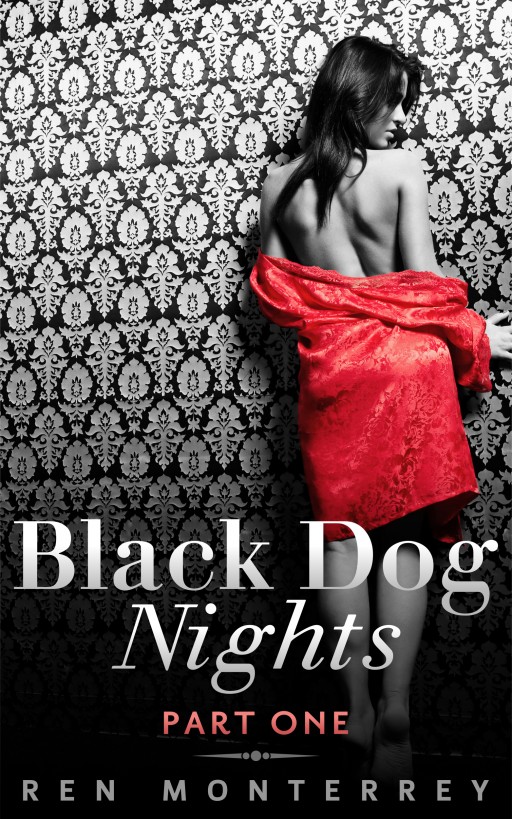 descargar libro Black Dog Nights