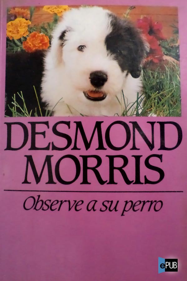 descargar libro Observe a su perro