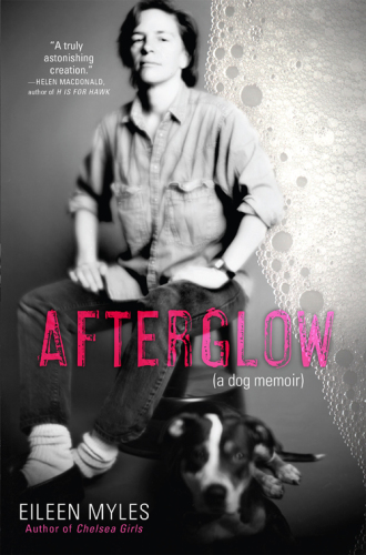 descargar libro Afterglow (a dog memoir)