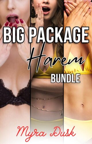 descargar libro Big Package Harem Bundle