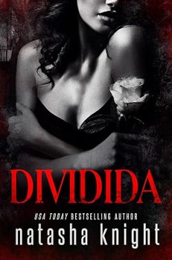 descargar libro Dividida (Legado oscuro 2)