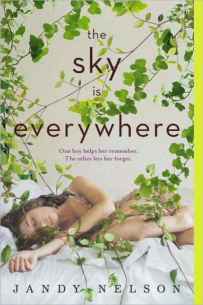 descargar libro The Sky Is Everywhere