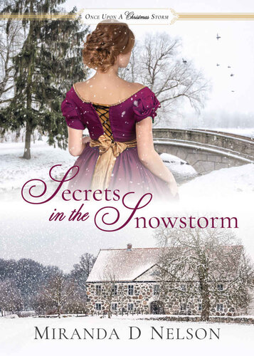 libro gratis Secrets in the Snowstorm