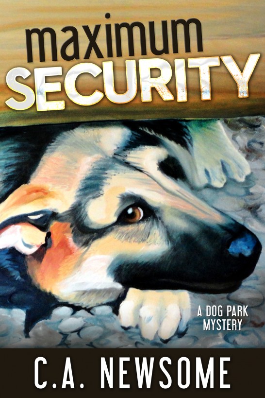 descargar libro Maximum Security