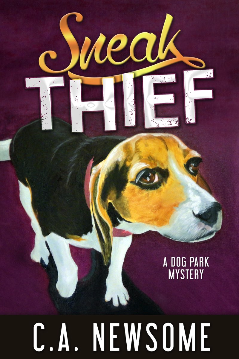 libro gratis Sneak Thief