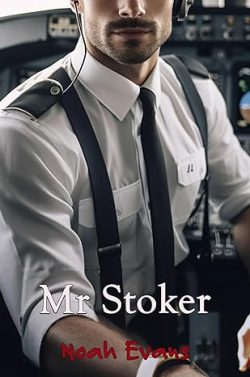 descargar libro Mr Stoker (Misters 3)