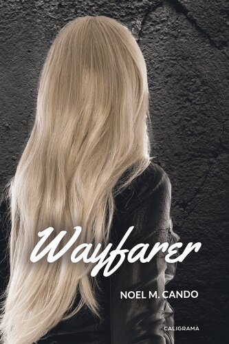 descargar libro Wayfarer