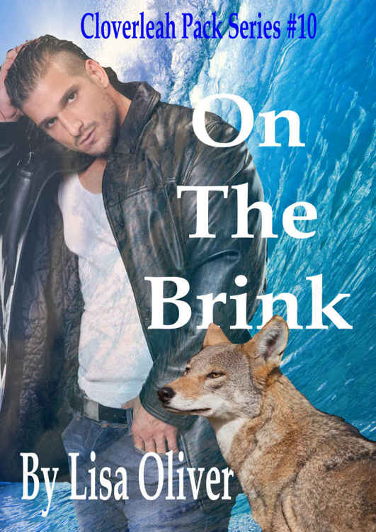 descargar libro On The Brink