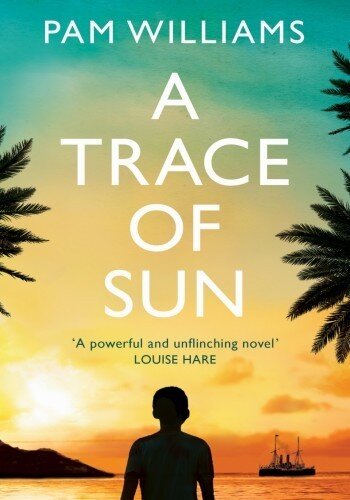 descargar libro A Trace of Sun