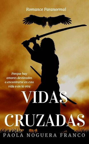 descargar libro Vidas Cruzadas: Hay amores destinados a encontrarse en esta vida o en la otra (Spanish Edition)