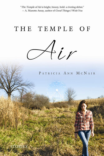 descargar libro The Temple of Air