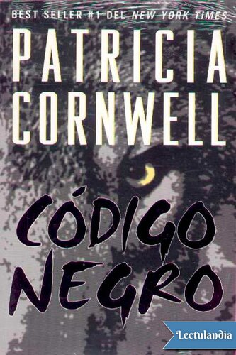 descargar libro Código negro (Identidad desconocida)