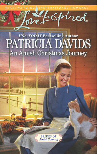 libro gratis An Amish Christmas Journey