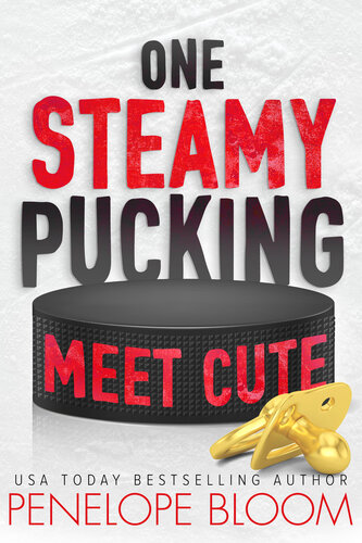 descargar libro One Steamy Pucking Meet Cute