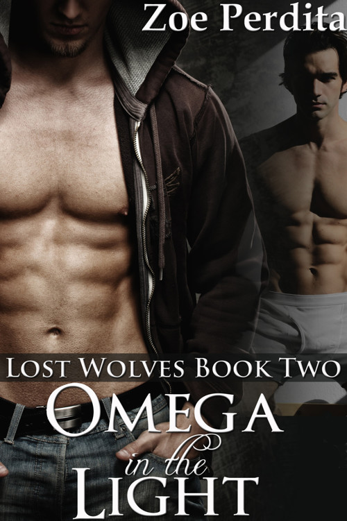 descargar libro Omega in the Light