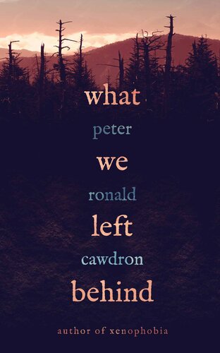 descargar libro What We Left Behind