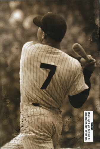 descargar libro 7: The Mickey Mantle Novel